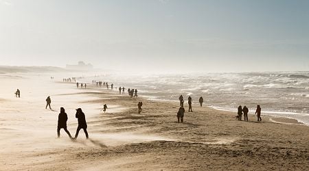 The Dutch are walking much more since coronavirus