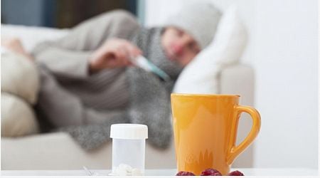 Flu cases expected to peak in December