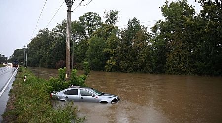 Around 1,000 vehicles damaged in floods -experts warn some could surface in used car sales