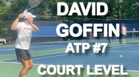 David Goffin Atp High of #7 Court Level 2024