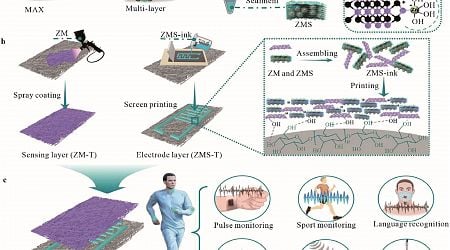 Researchers develop new sustainable material: Cellulose-MXene composites