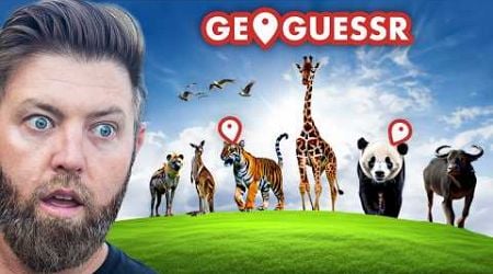 Wildlife Expert Stumped By Animal Geoguessr