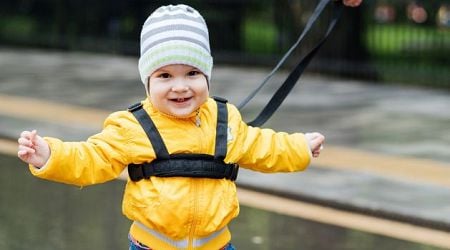 Should you leash your child? Expert advice on using reins for babies and toddlers