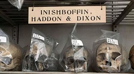 The gruesome tale of Inishbofin's stolen skulls and their long-awaited return after over a century