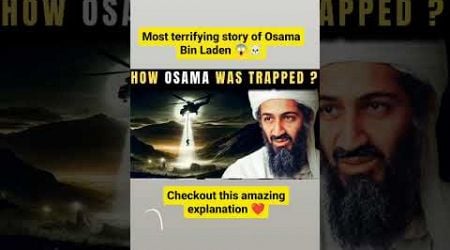 How Osama Bin Laden Was Trapped ? #dark #mysteriousfacts #mystery #shorts #viral