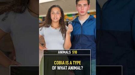 Cobia Is What Animal?