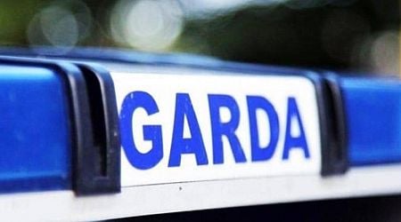 Man involved in altercation knocked a garda to the ground