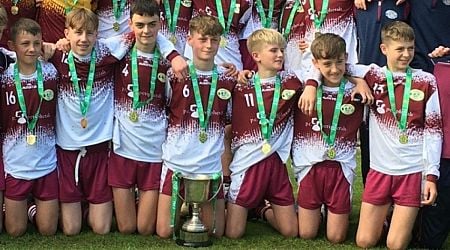 Dromcollogher students celebrate impressive All-Ireland final success