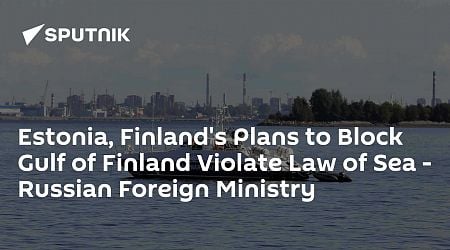 Estonia, Finland's Plans to Block Gulf of Finland Violate Law of Sea - Russian Foreign Ministry