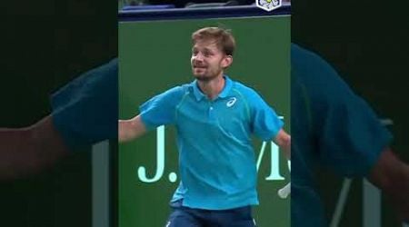 David Goffin MADNESS!