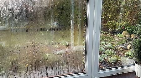 Banish condensation on windows with 'wonder' hack involving a household staple