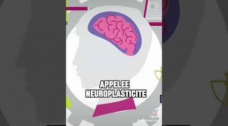 Le pouvoir de votre cerveau ! #science #divertissement #histoire #reel #developpementpersonnel