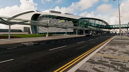 Dublin Airport crash: Man seriously injured after being struck by car outside Terminal 2