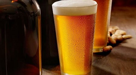 10 Top Rated American Pilsner Beers According To Major Beer Competitions