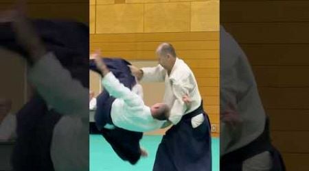 www.aikikai.sk | Slovak Aikido Association | Aikikai Slovakia