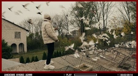 Pigeon Negotiation Goes Wrong in Poland | BEHIND THE MIKE #005