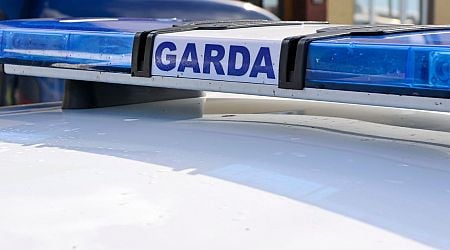 Garda issue warning after gangs of youths target vehicles in Cork 