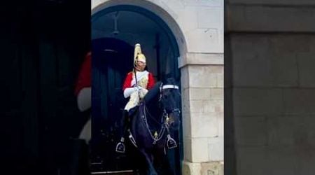 The Kings Guard Horses And London Tourists / The Royal Guard / London United Kingdom #shorts