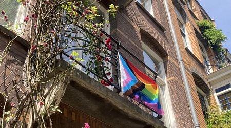 Dutch LGBTQIA community amounts to 2.7 million people