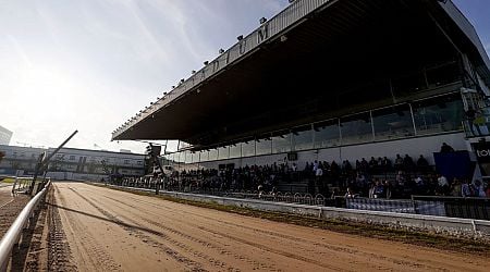 All Roads Lead To Shelbourne Park as greyhound season heats up