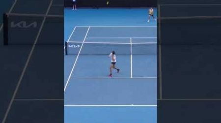 Alcaraz trick shot! #tennis #australianopen #ausopen #alcaraz