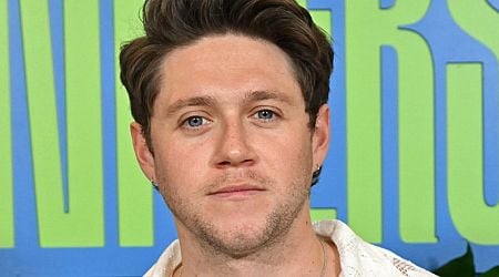 One Direction's Niall Horan abruptly announces he is stepping back from limelight