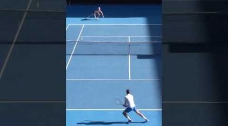 Drop shot by Djokovic! #tennis #sports #atp #ausopen #australianopen #djokovic