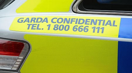 Man arrested after gunshots fired at house in Co Clare