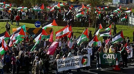 Two arrested during anti-war protest at Shannon Airport