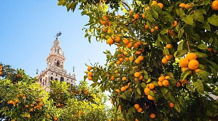 I took my 80-year-old mom to Spain, her first trip in years