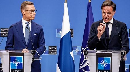 Stubb: Finland can have various views, not stances on foreign and security policy