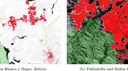 National parks and other protected areas often fail to conserve Earth's forests, research finds