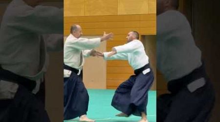 www.aikikai.sk | Slovak Aikido Association | Aikikai Slovakia