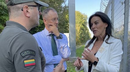 Lithuania with the Baltic states nad Poland will seek ways to attract additional EU financing for defence line reinforcements, says Minister of National Defence