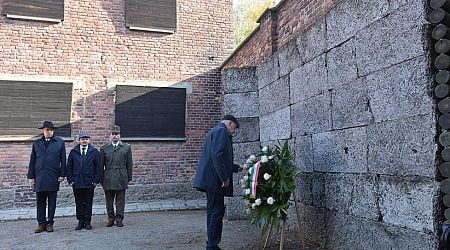 PHOTOS: The Hungarian President in Auschwitz