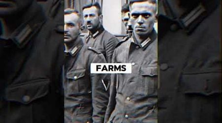 Why did many German POWs not want to return to Germany?