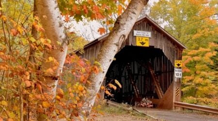 Ablaze with autumn: Enjoy these photos from around New Brunswick