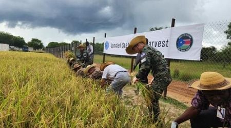 S. Korea's Hanbit unit takes part in rice harvesting in South Sudan