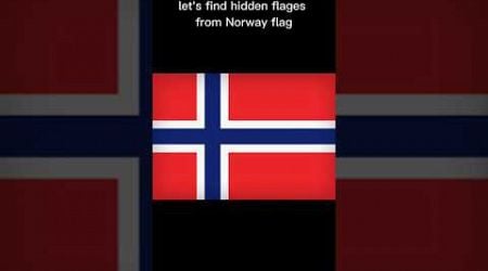 find the hidden flags of the Norwegian flag #countryballs #flag #shorts