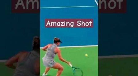 Amazing shot (Sabalenka - Putintseva) #tennis #sports #highlights #shorts