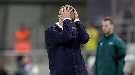 Heimir Hallgrimsson says Christmas came early for Greece against Ireland