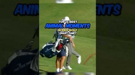 Top 13 Best Animal Moments in Pro Golf | Part 1