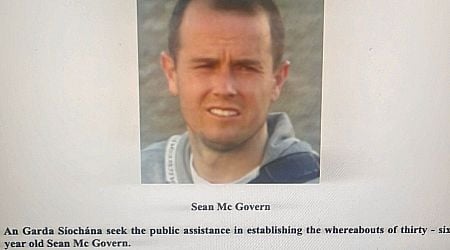 Irish government diplomats sought assurances Kinahan associate Sean McGovern would not be harmed or tortured prior to arrest