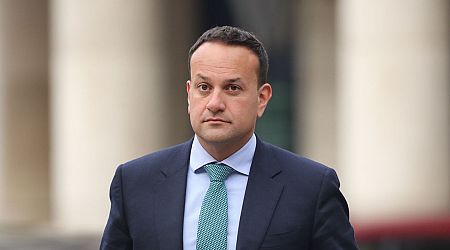 Leo Varadkar was told of Agent Cobalt allegations when he was Taoiseach - and believed them