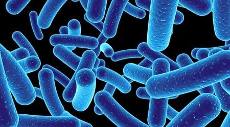 New findings on calcium transport in Listeria bacteria may enhance food safety