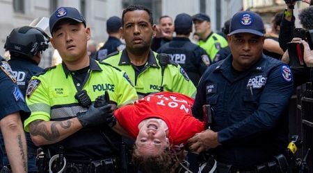 More than 200 pro-Palestinian protesters arrested outside New York Stock Exchange