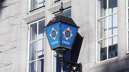 Gardai arrest man as part of ongoing investigation into false social media reports