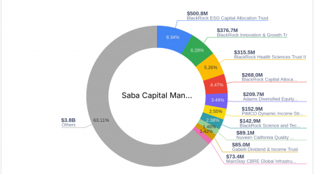 Saba Capital Management's Strategic Reduction in Federated Hermes Premier Municipal Income Fund