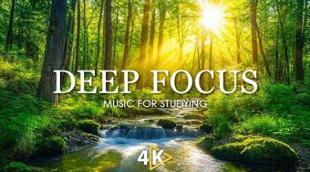 Work Music for Concentration - 12 Hours of Ambient Study Music to Concentrate #30