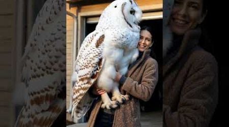 Giant pet owl discovered in Norway#owl #norway #animal #animalsoftiktok#fyp #babyanimals